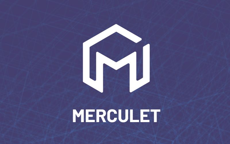 Proekt-Merculet.jpg