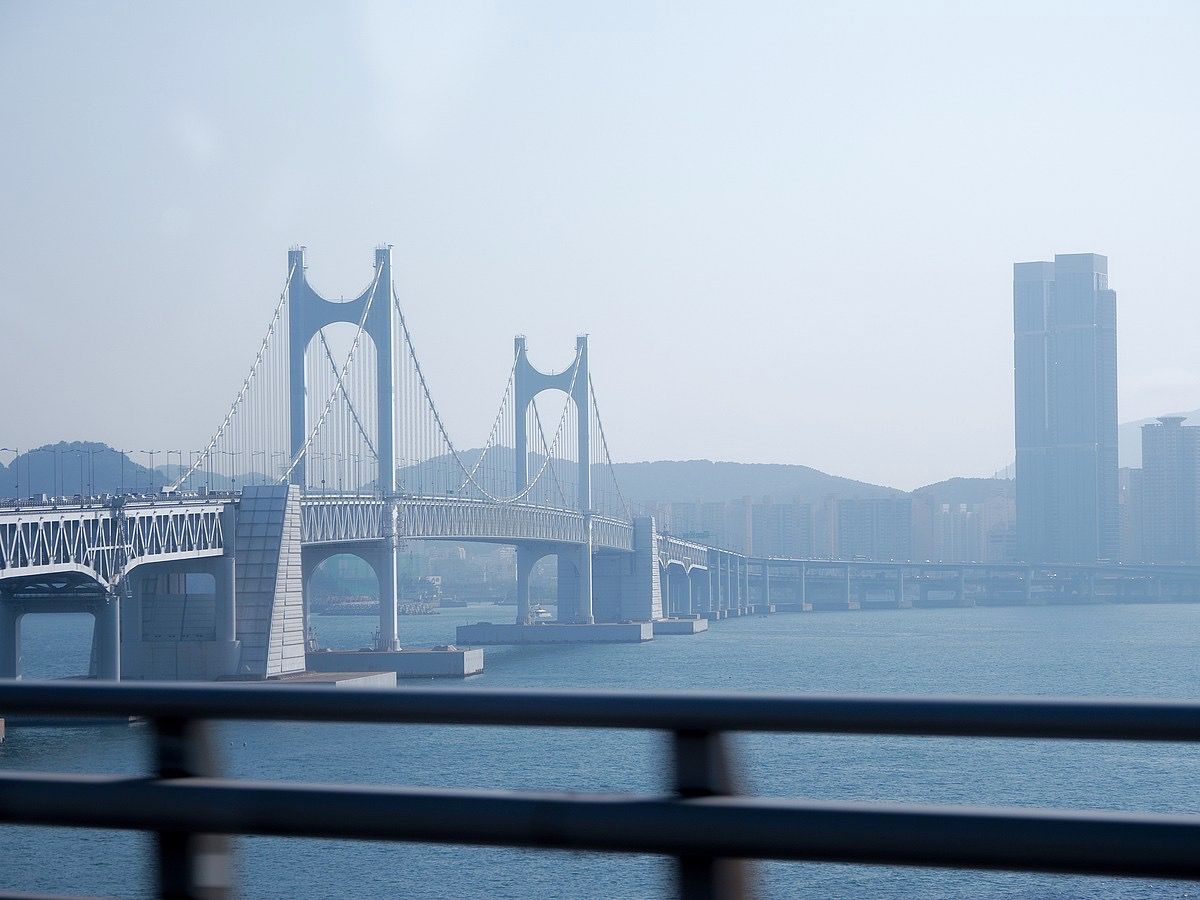P4280164.jpg