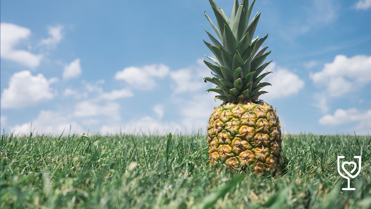 Pineapple Background.jpg