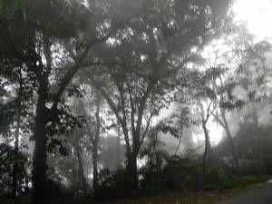 neblina_en_via_a_ocumare.jpg