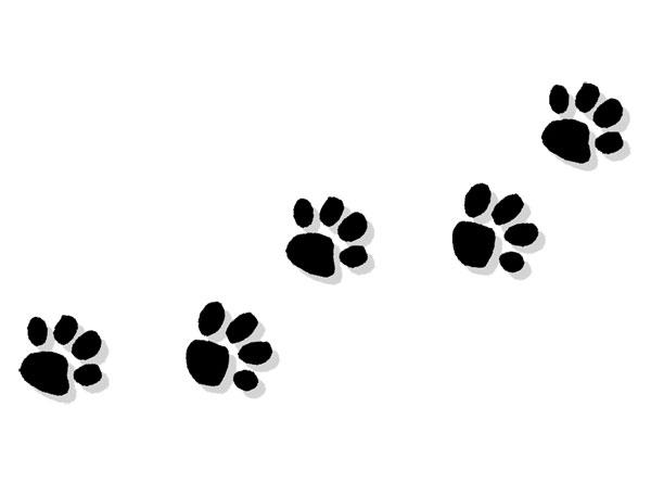 dogs footprints.jpg