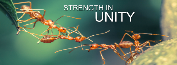 Strength-in-Unity-600px.png