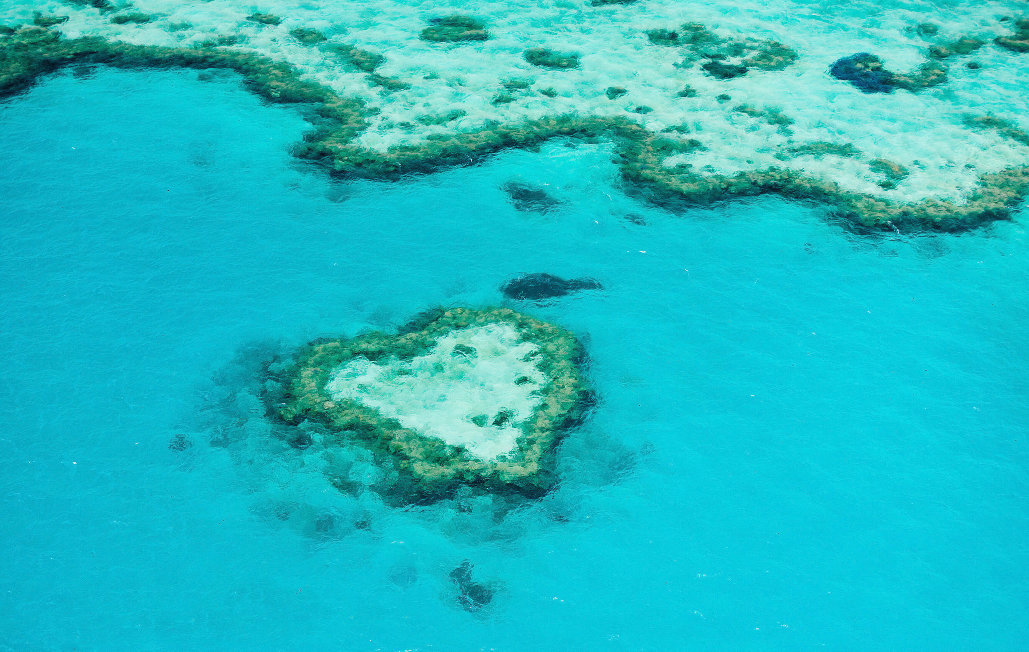 Heart-Reef-Great-Barrier-Reef_2048x2048_a0206649-3faa-45da-a5cb-4fd773052d34.jpg