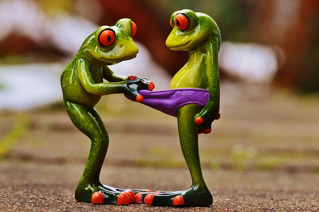 frogs-1158958_640.jpg