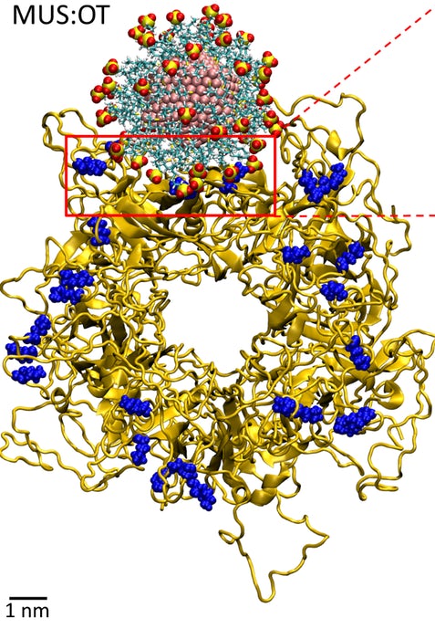 nanoparticulas-antivirus.jpg