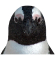 Penguin 60H.jpg