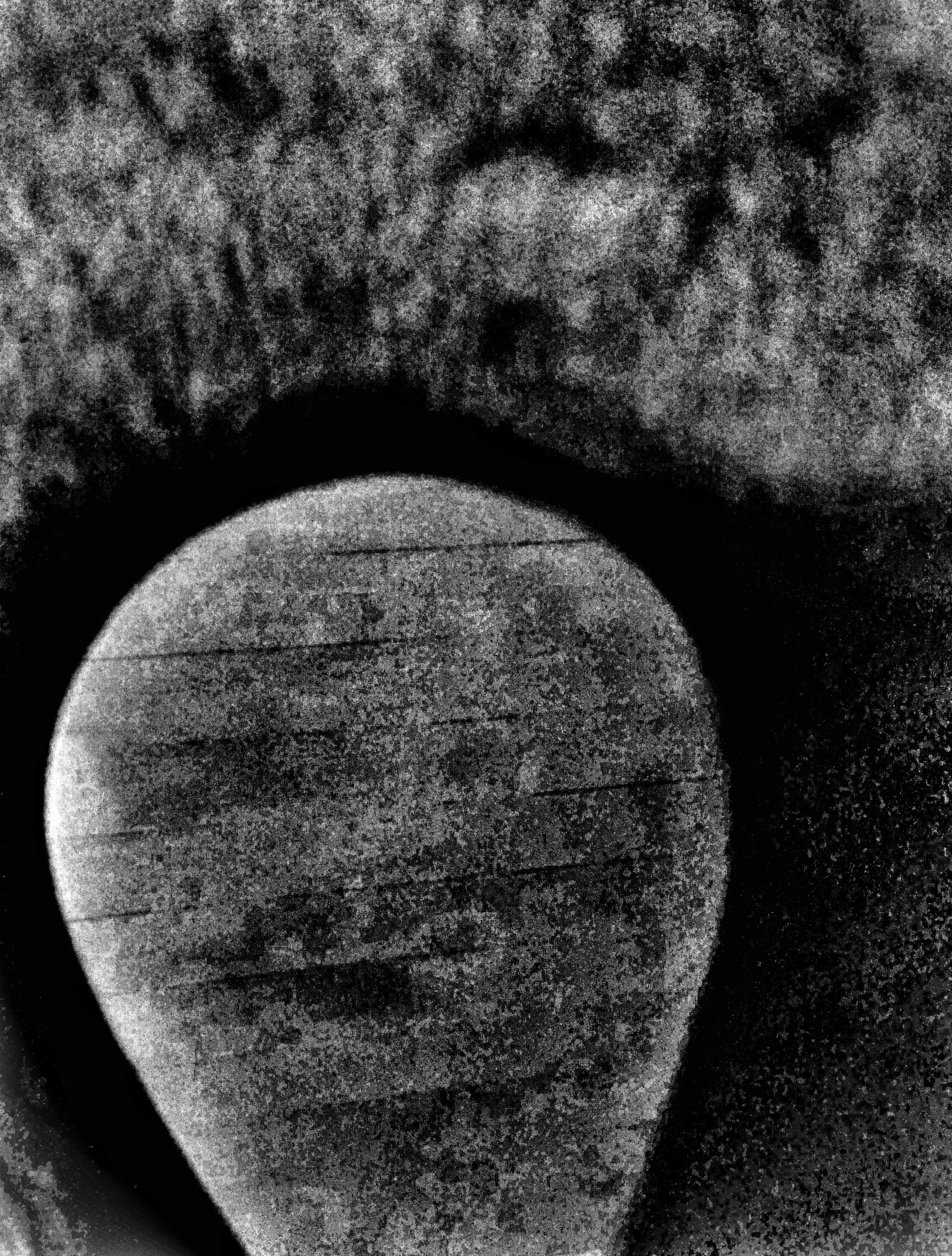 DSC_0494-01.jpeg