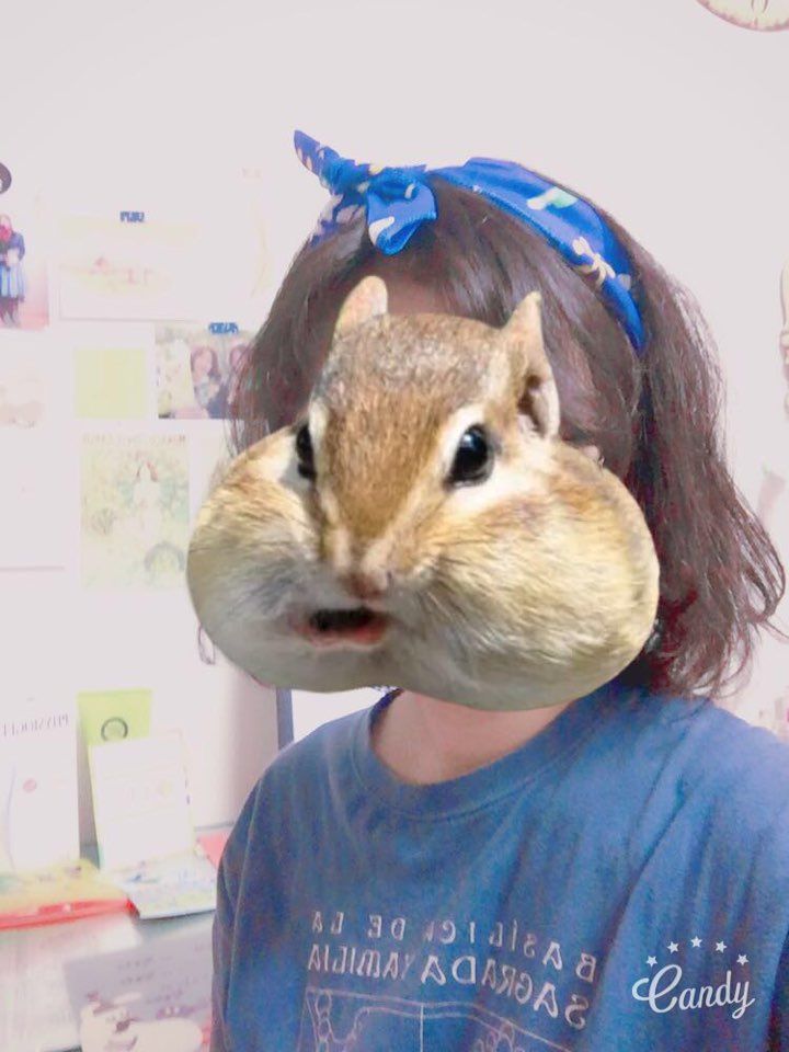 헤어스타일링.jpg