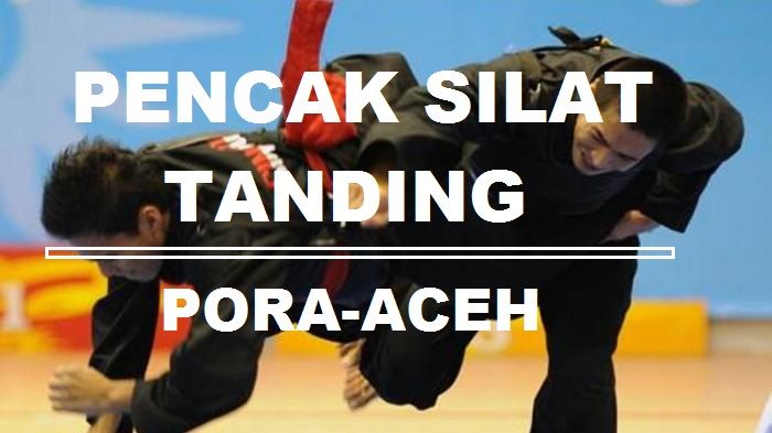 20140519_082745_pencak-silat-ilustrationnnnnn.jpg