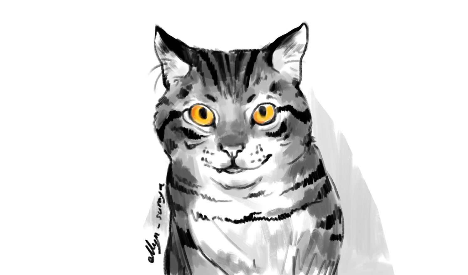 Daily Cat Drawings_3.jpg