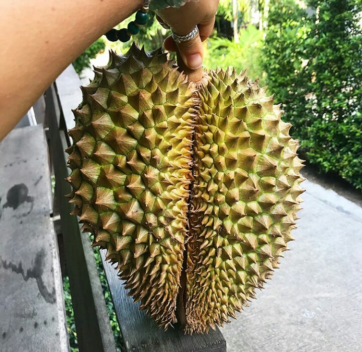 WhatsApp Image 2018-03-14 at 16.52.35 (3).jpeg