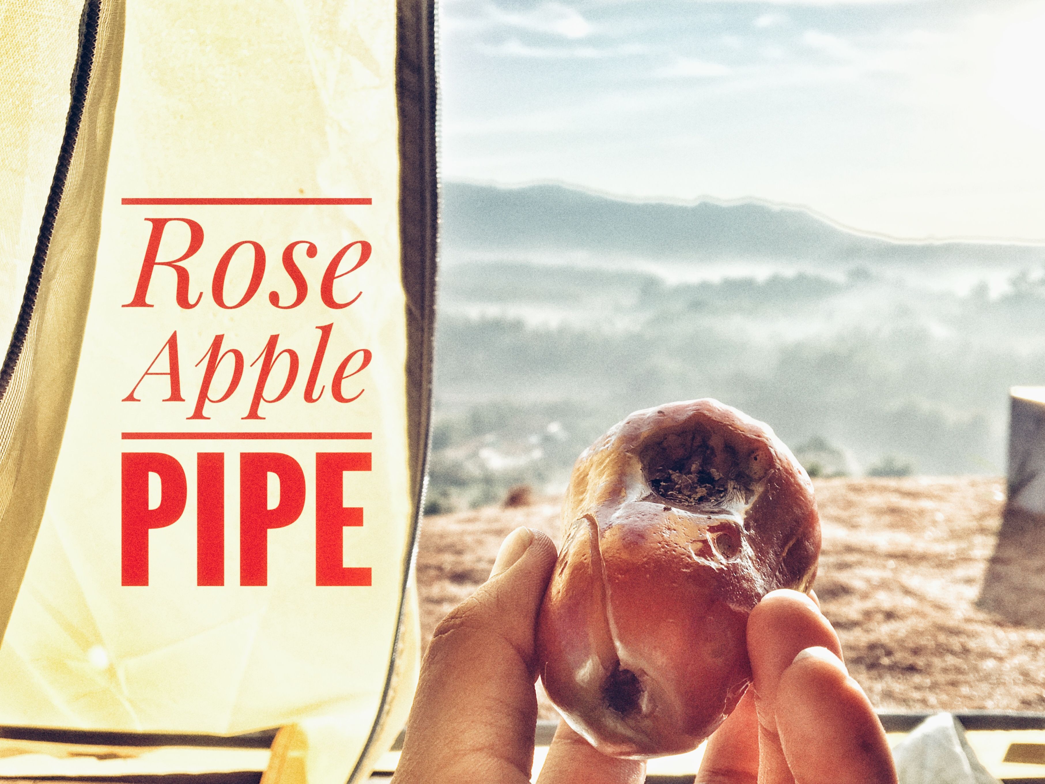 Attachment-1 (5).jpeg