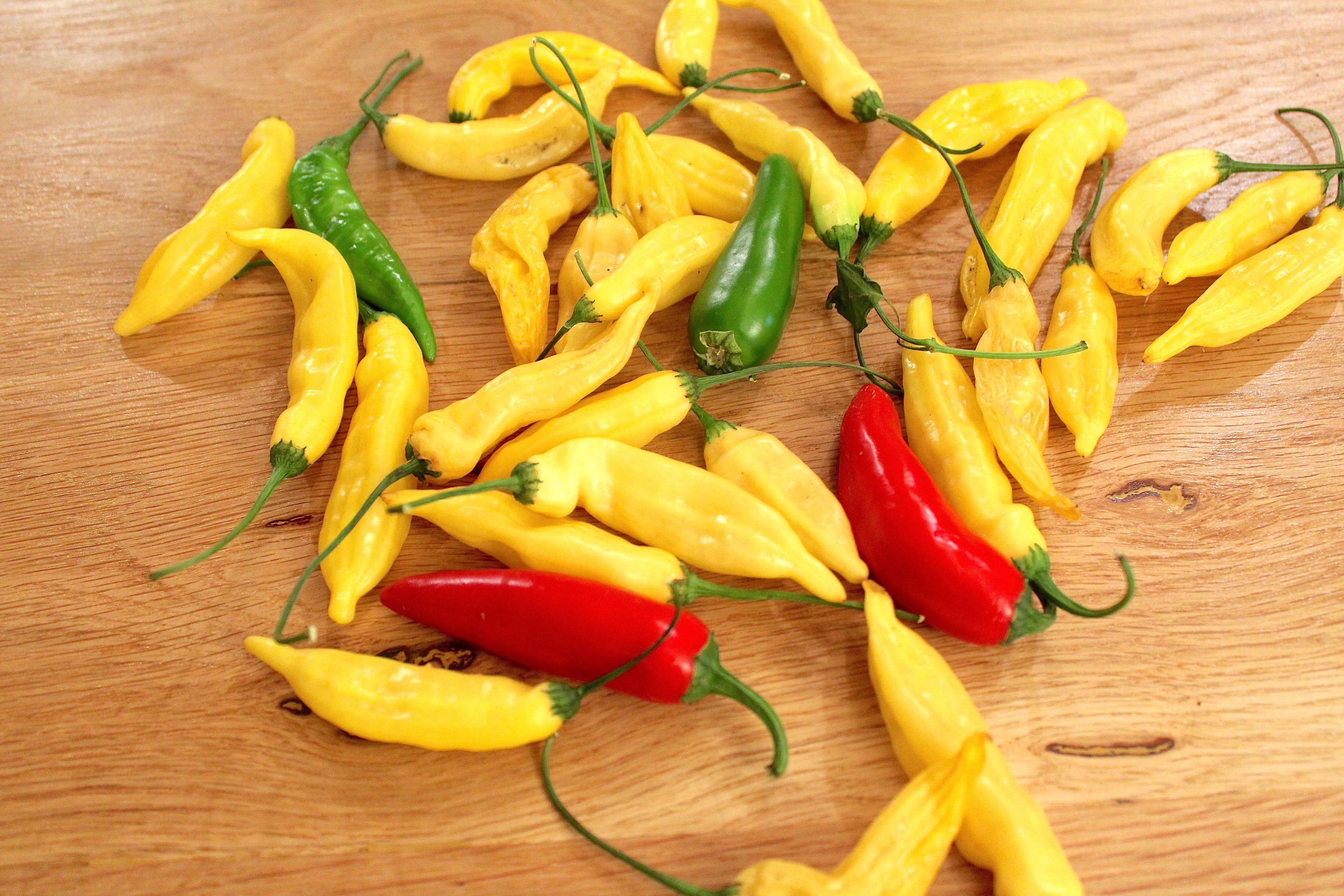 3 scattered peppers 2017-10-03 11.57.11 copy 2.jpg