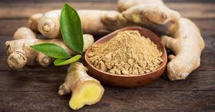 ginger.jpg