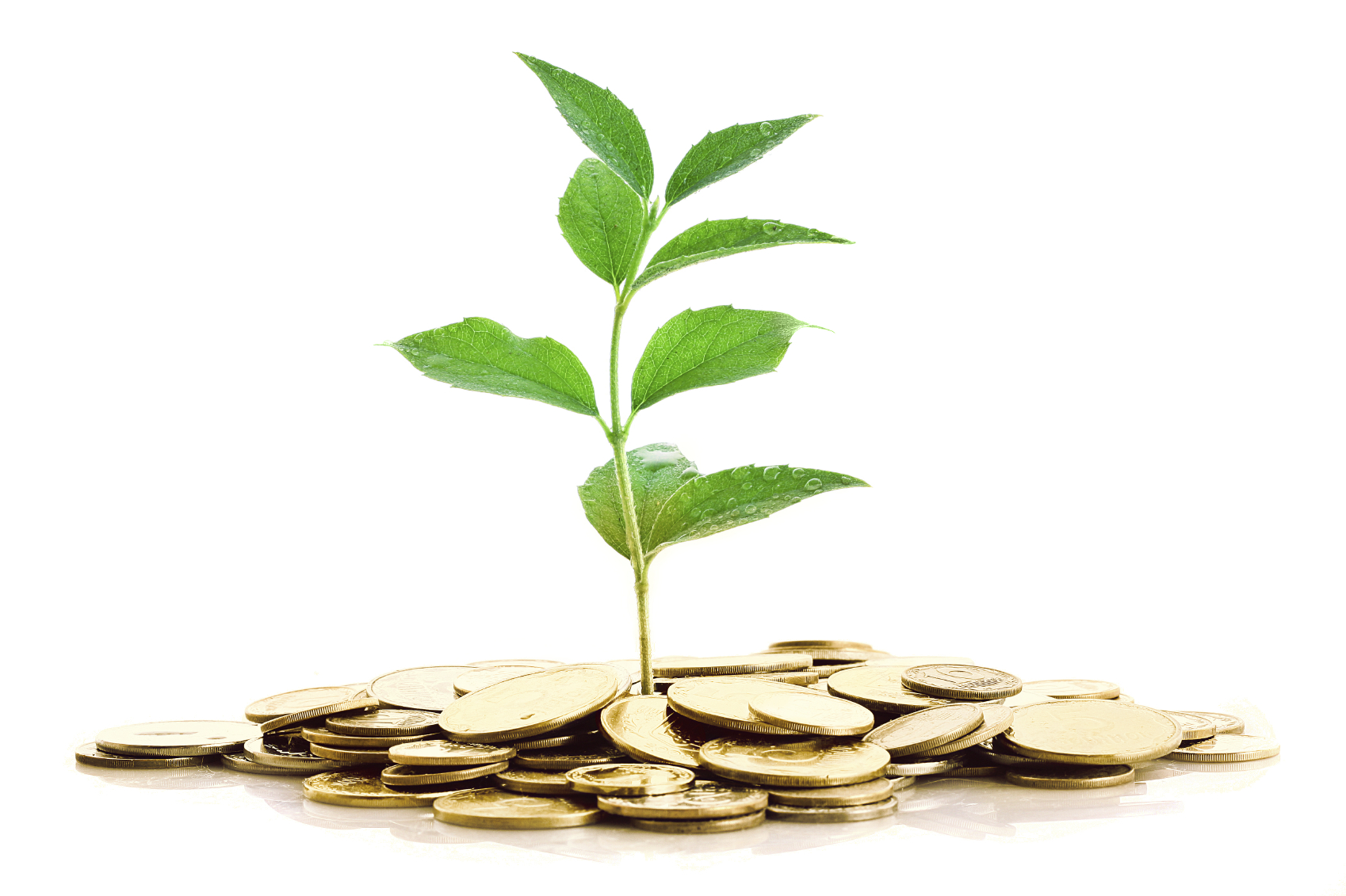 Growth-from-Money.jpg