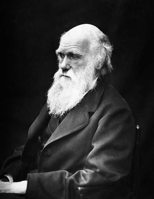 charles-robert-darwin-62911_640.jpg