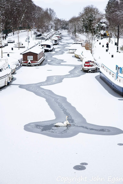 Sallins in the snow.jpg