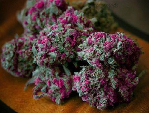 pink-marijuana.jpg