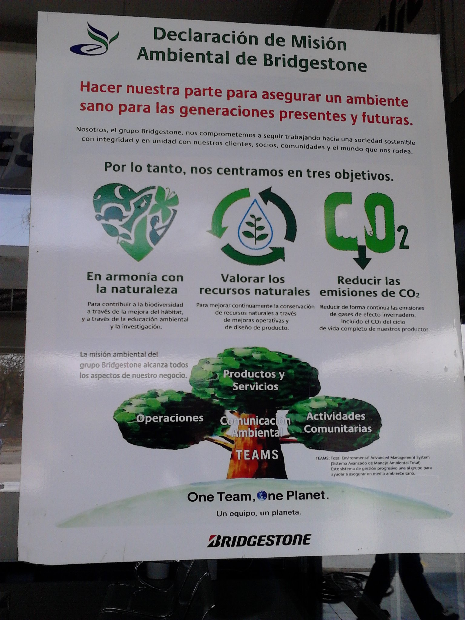 Declaracion ambiental de Brigestone.jpg