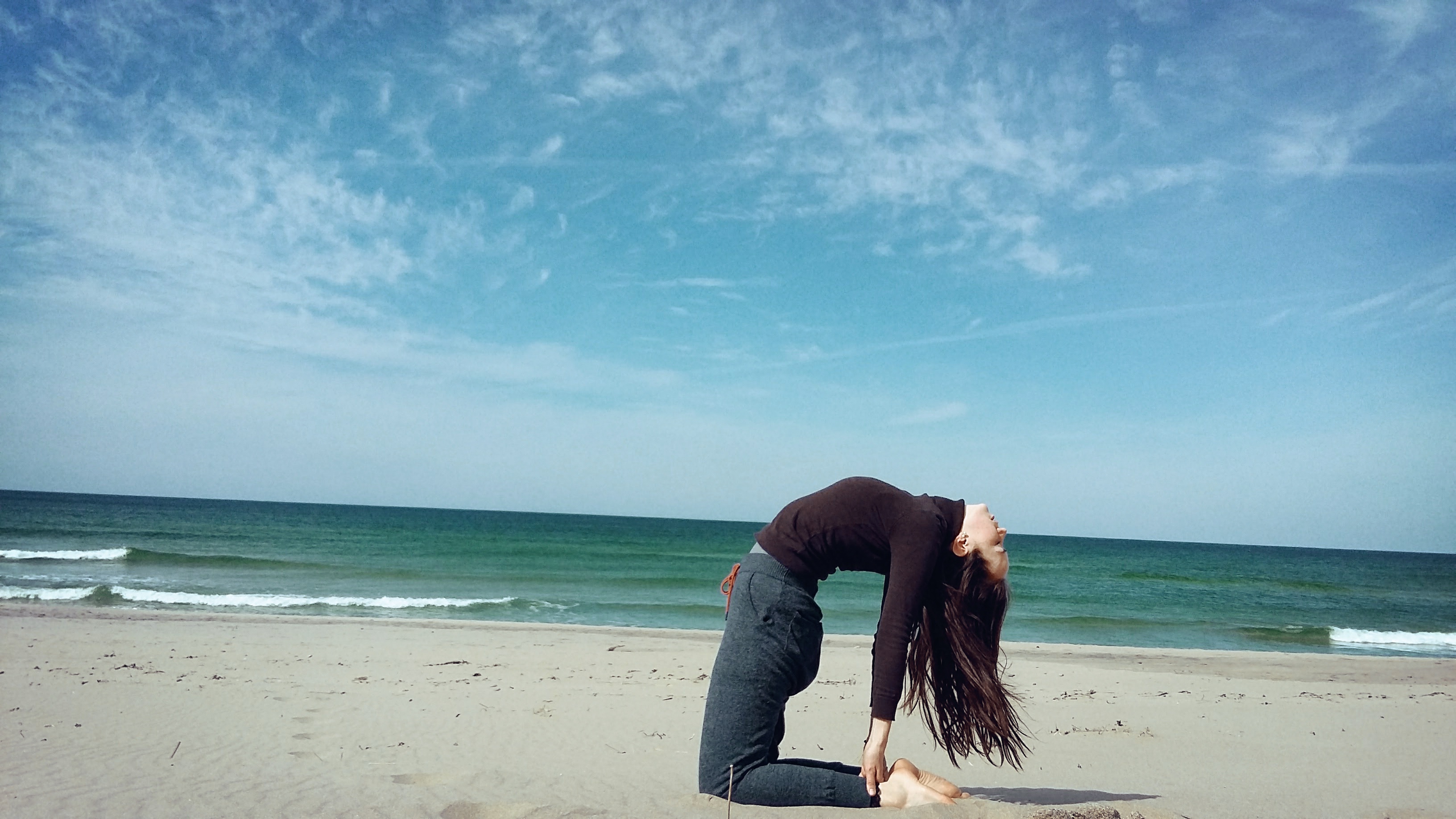 Camel, beach copy.jpg