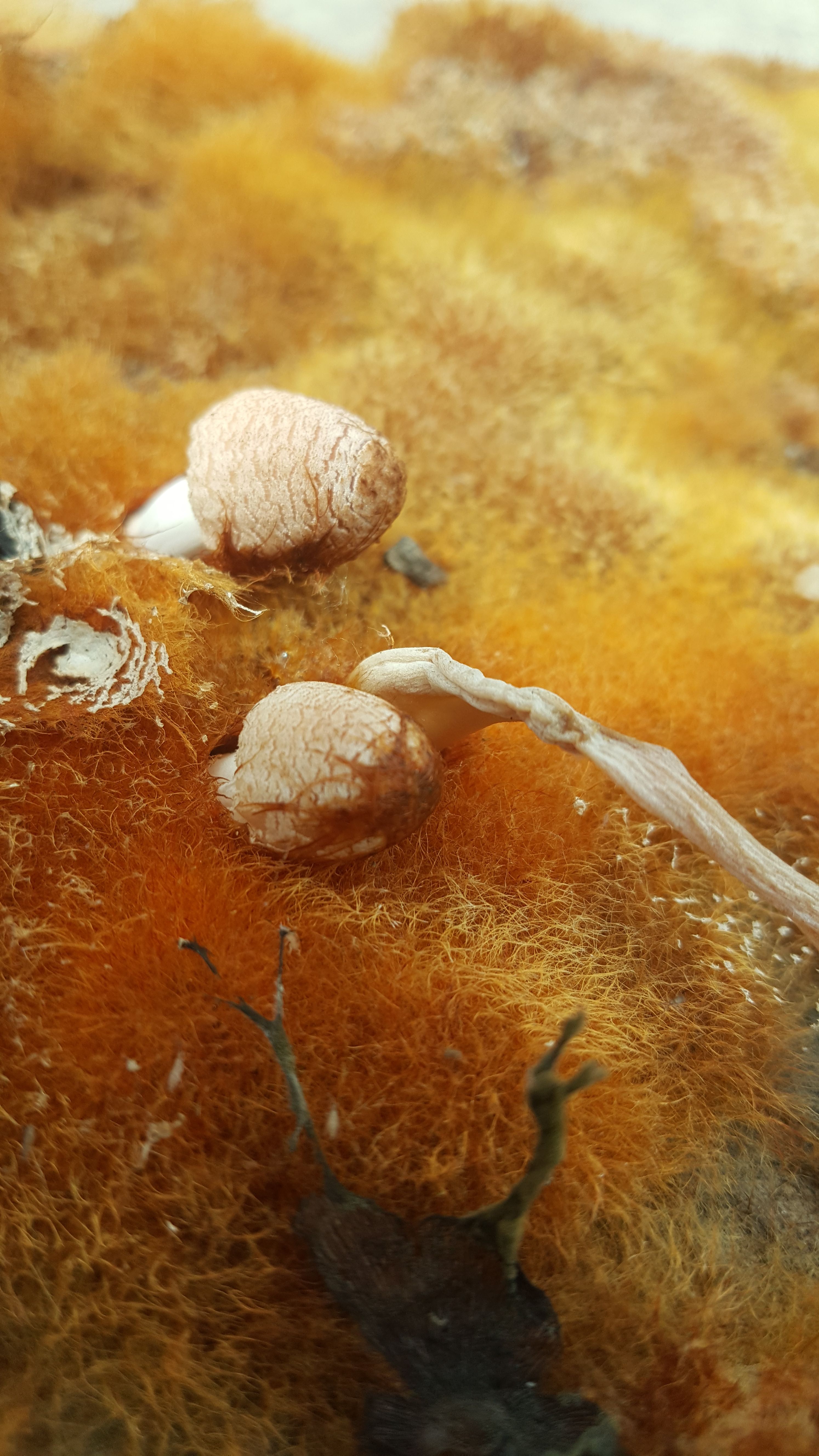 20180515_101959.jpg