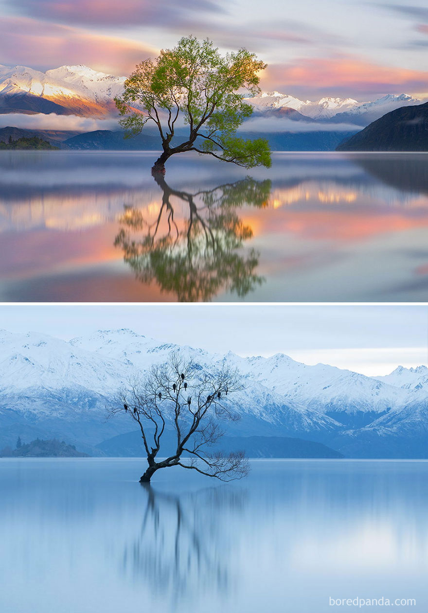 lake wanaka , new zealand.jpg