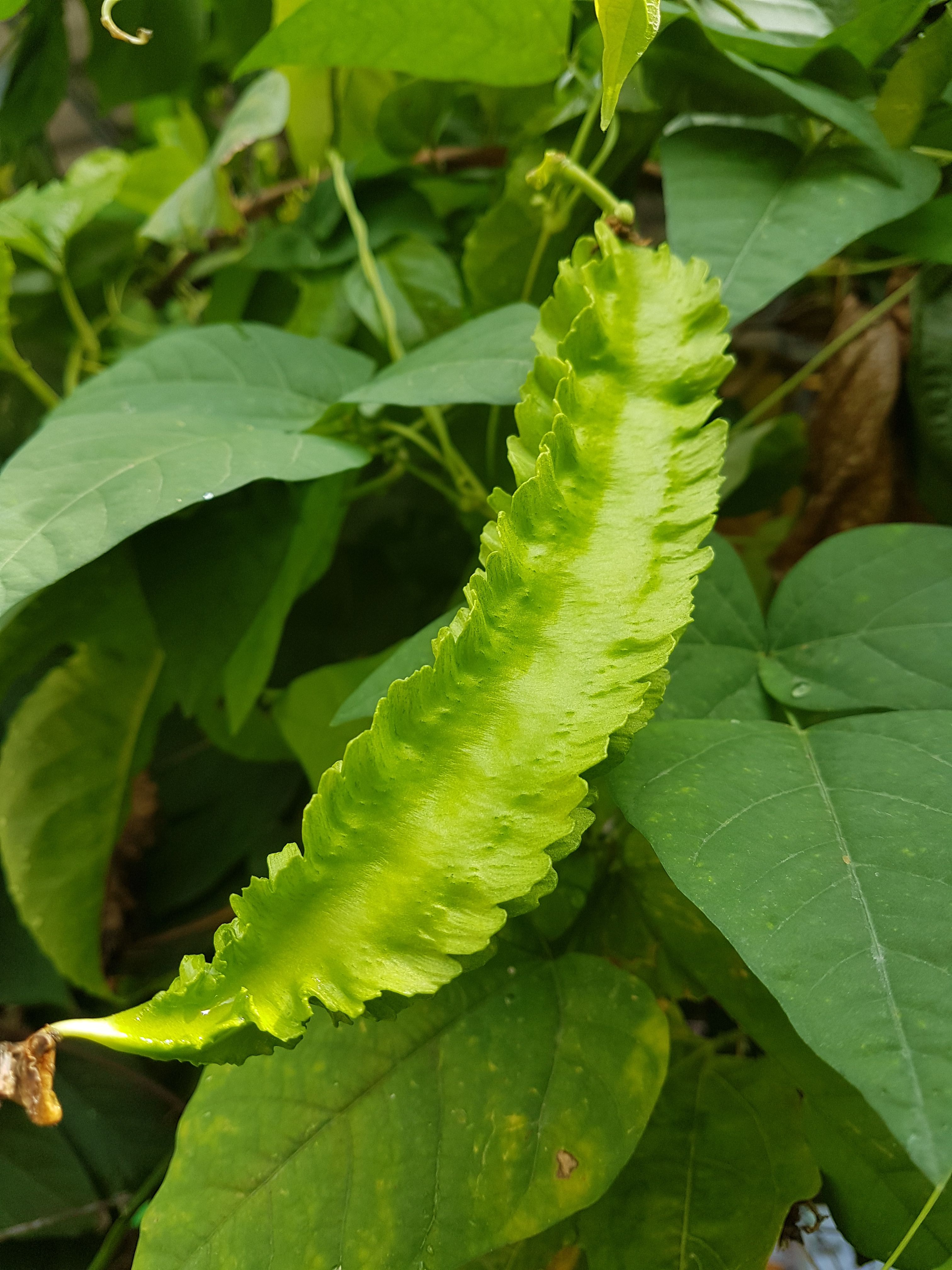 20170904_093417.jpg