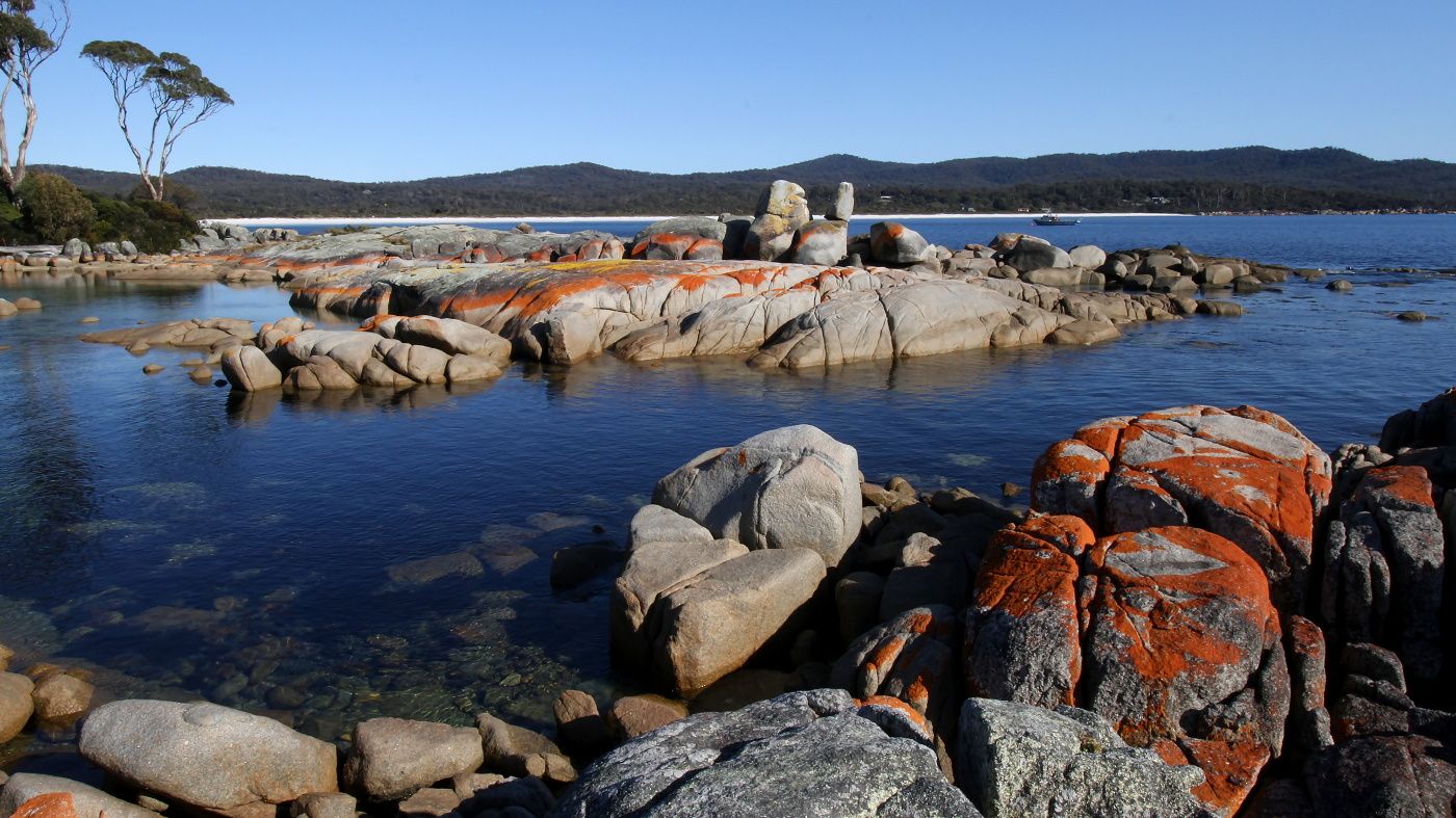 View from Binalong Bay Tas.jpg