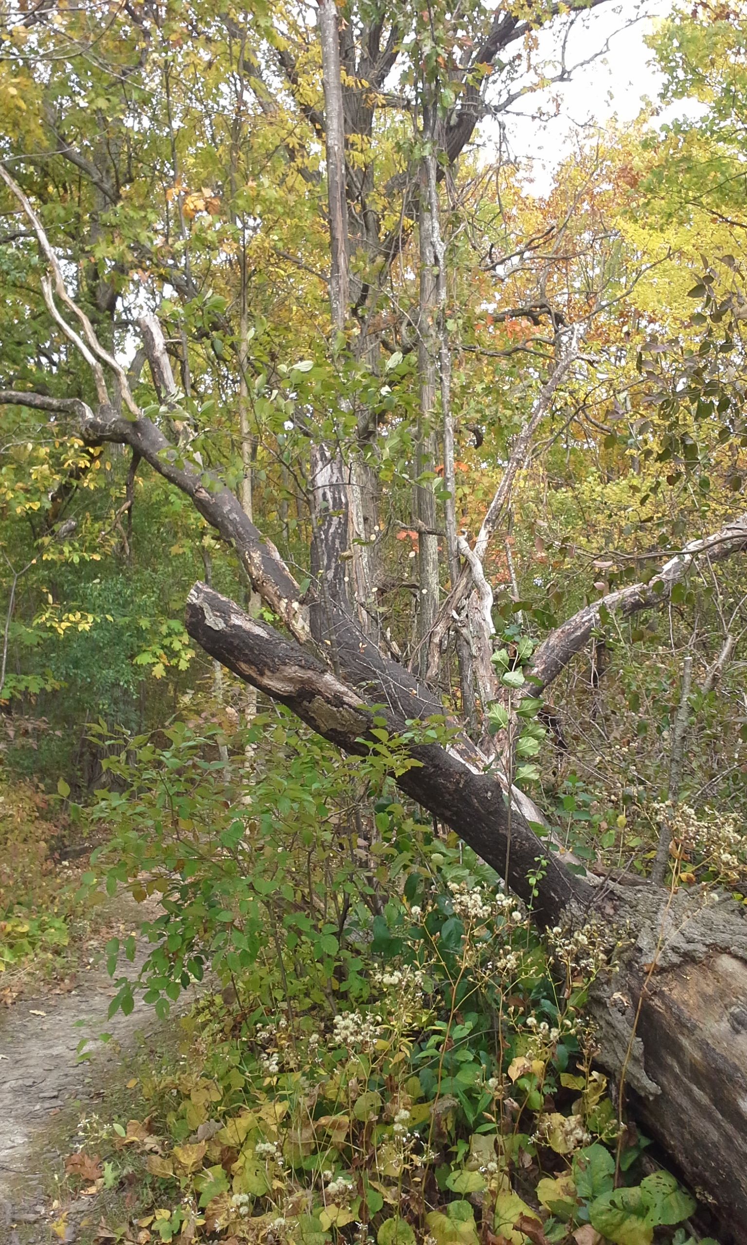 20171021_123435.jpg