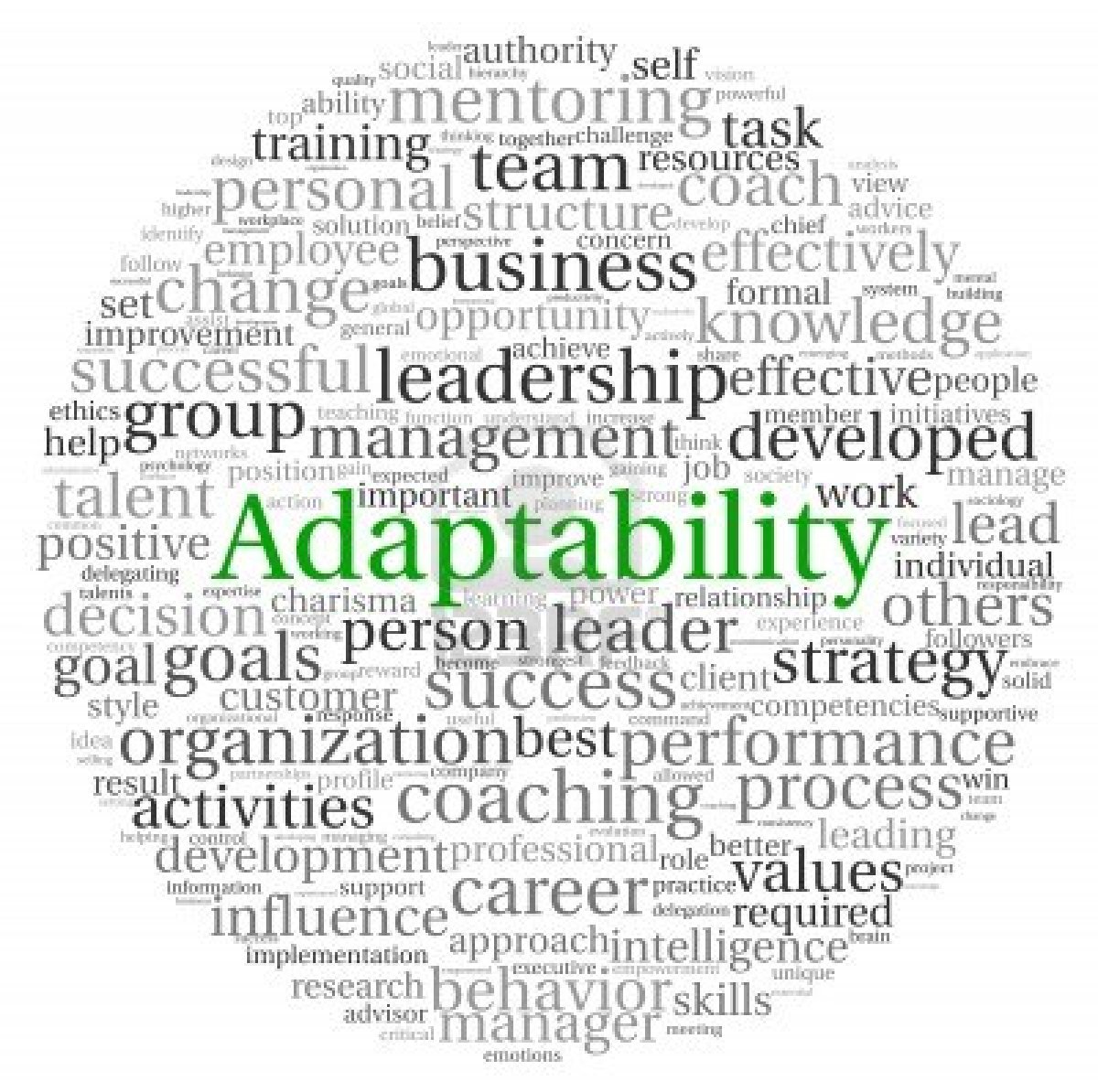 Adaptability_Image.jpg
