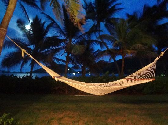 our-hammock-on-a-moonlit.jpg