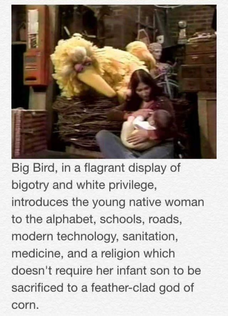 Big Bird White Privilege.jpg