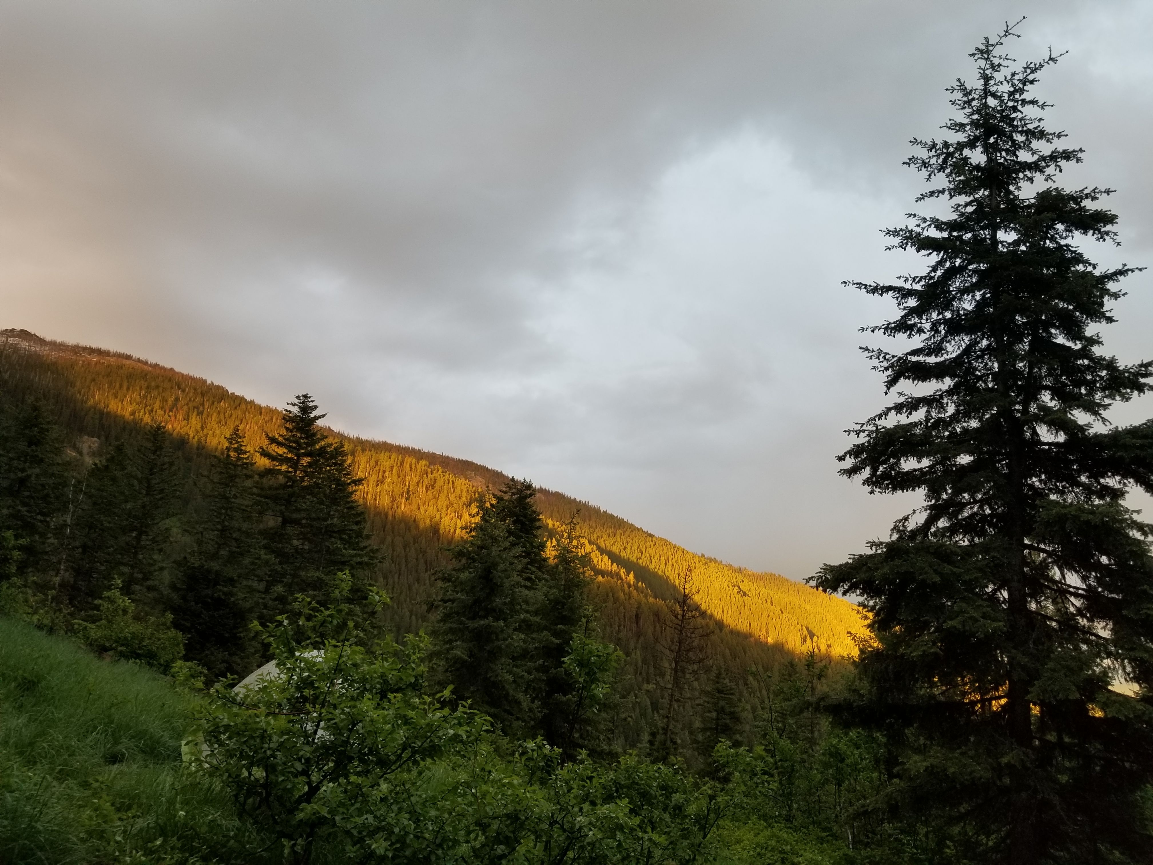 20170610_202313.jpg