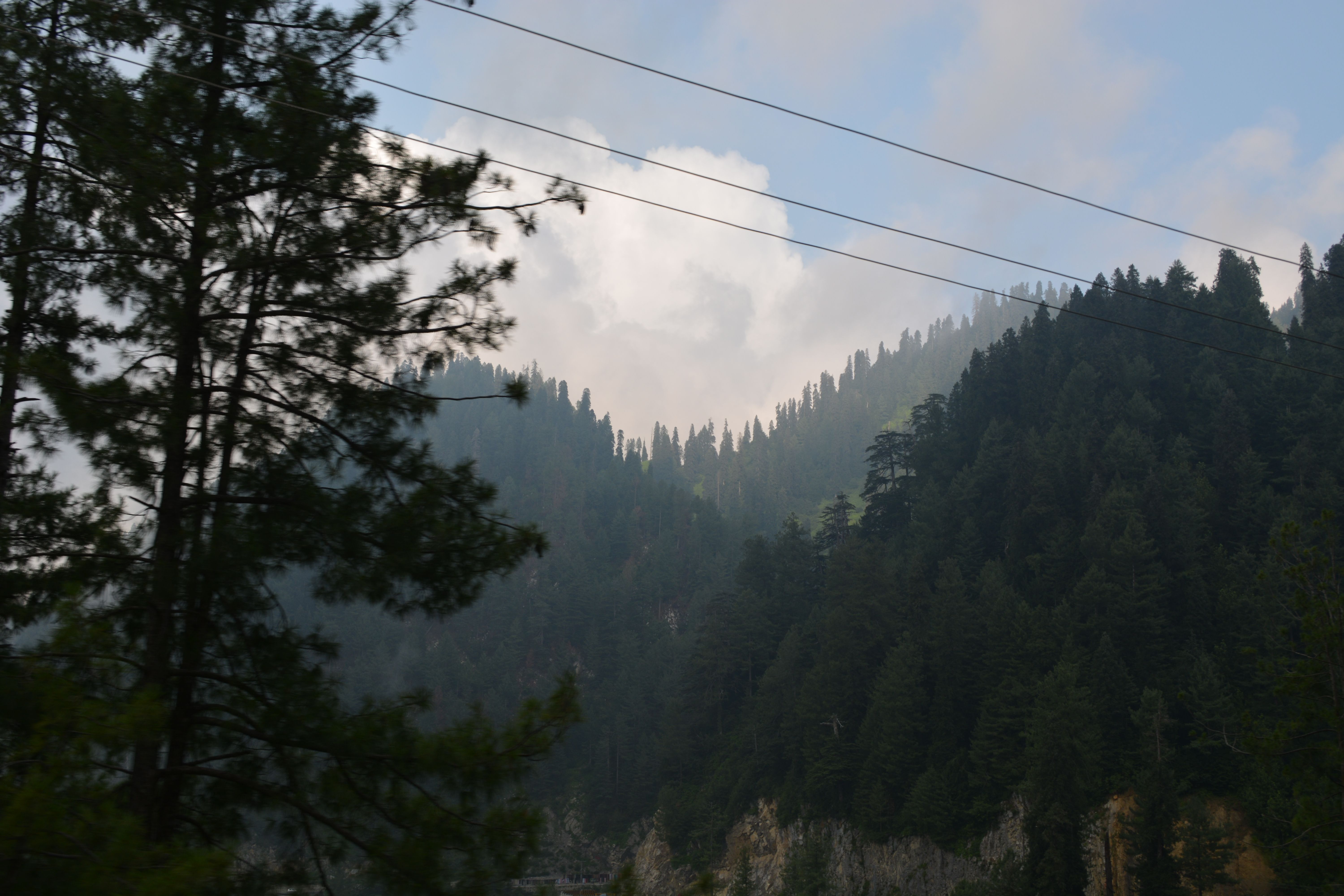 DSC_2886.JPG