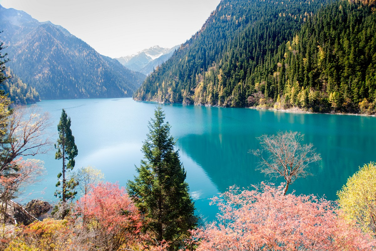 These lakes. Долина Цзючжайгоу Китай. Долина Цзючжайгоу (провинция Сычуань). Озера Долины Цзючжайгоу. Озеро пяти цветков в Цзючжайгоу.