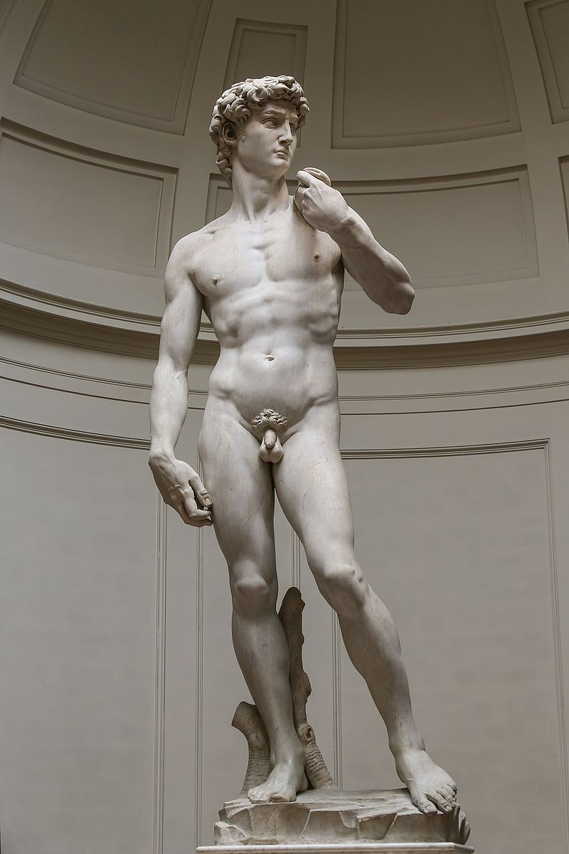 'David'_by_Michelangelo_Fir_JBU004.jpg