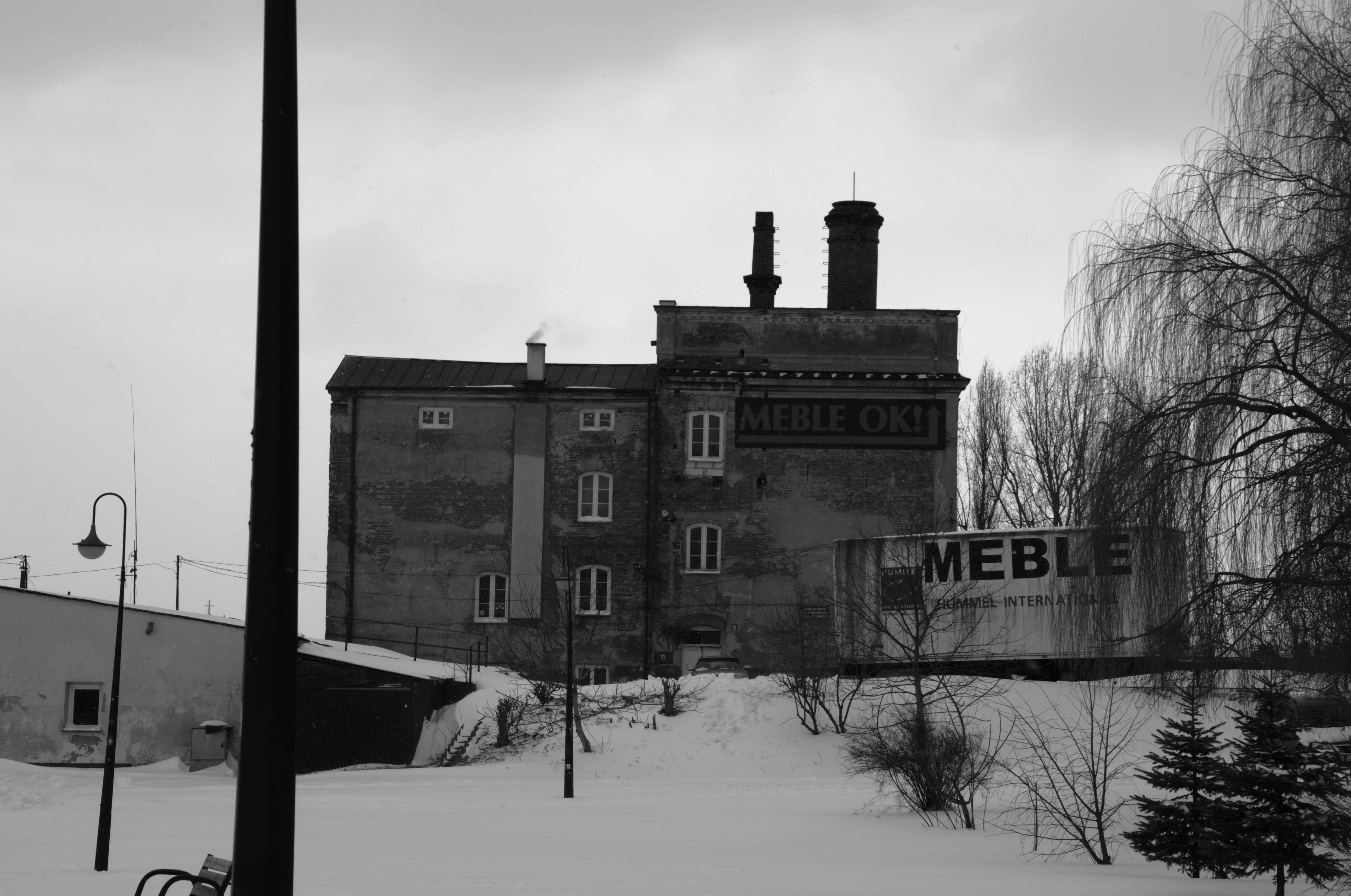 DSC_0444.NEF.jpg