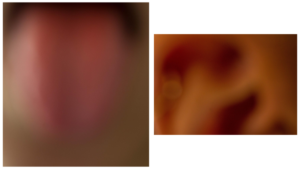 fotografia cuerpo (5).png