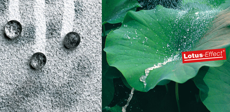 WhatsApp Image 2018-03-06 at 22.13.28.jpeg