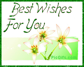 animaatjes-best-wishes-for-you-753505.gif