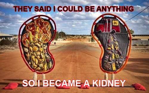 KIDNEY.jpg