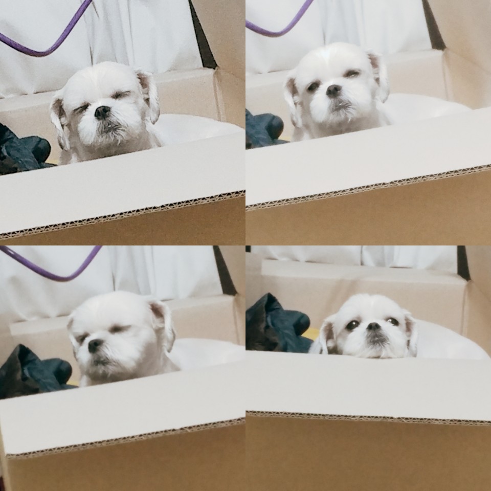 KakaoTalk_20170830_102711120.jpg