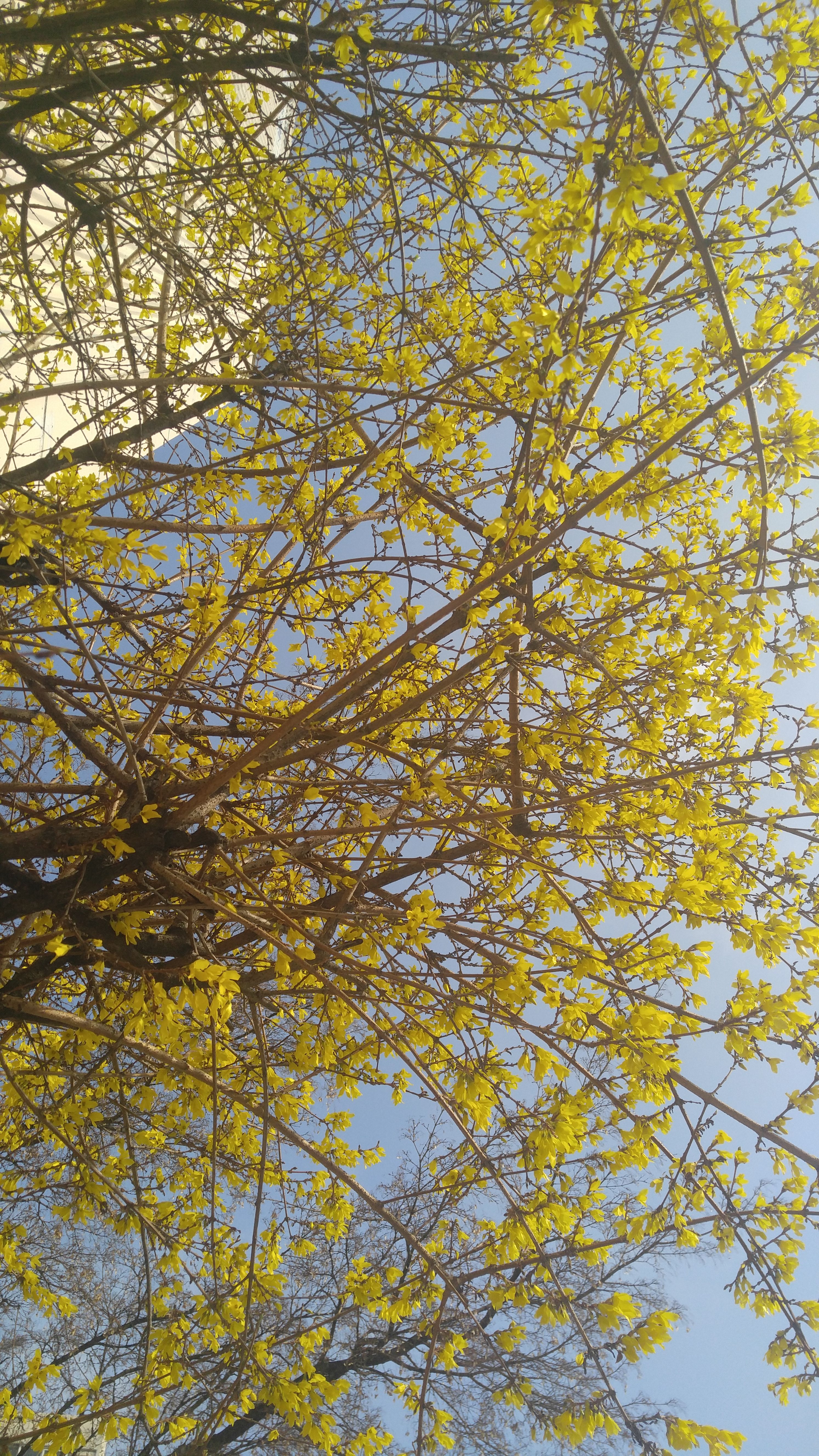 20180330_083731_HDR.jpg