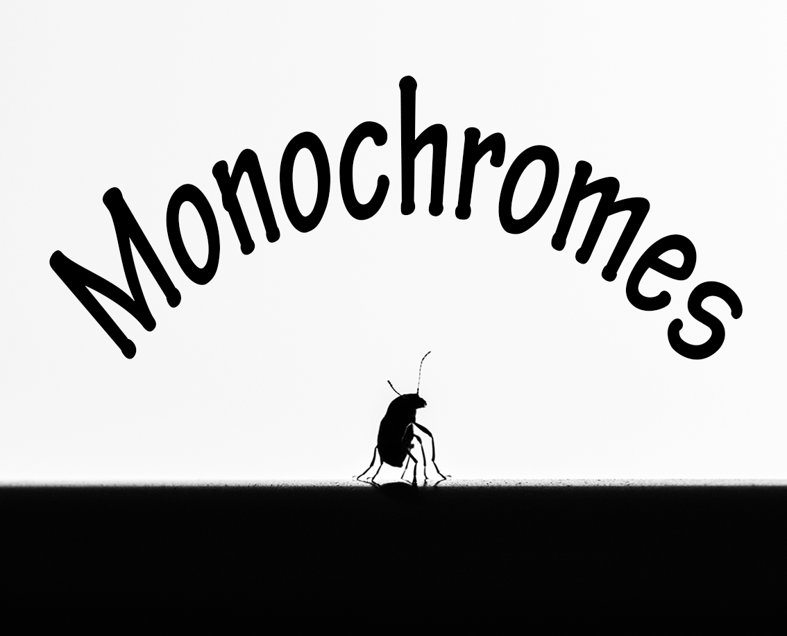 DSC_0079-MONOCHROMES.png