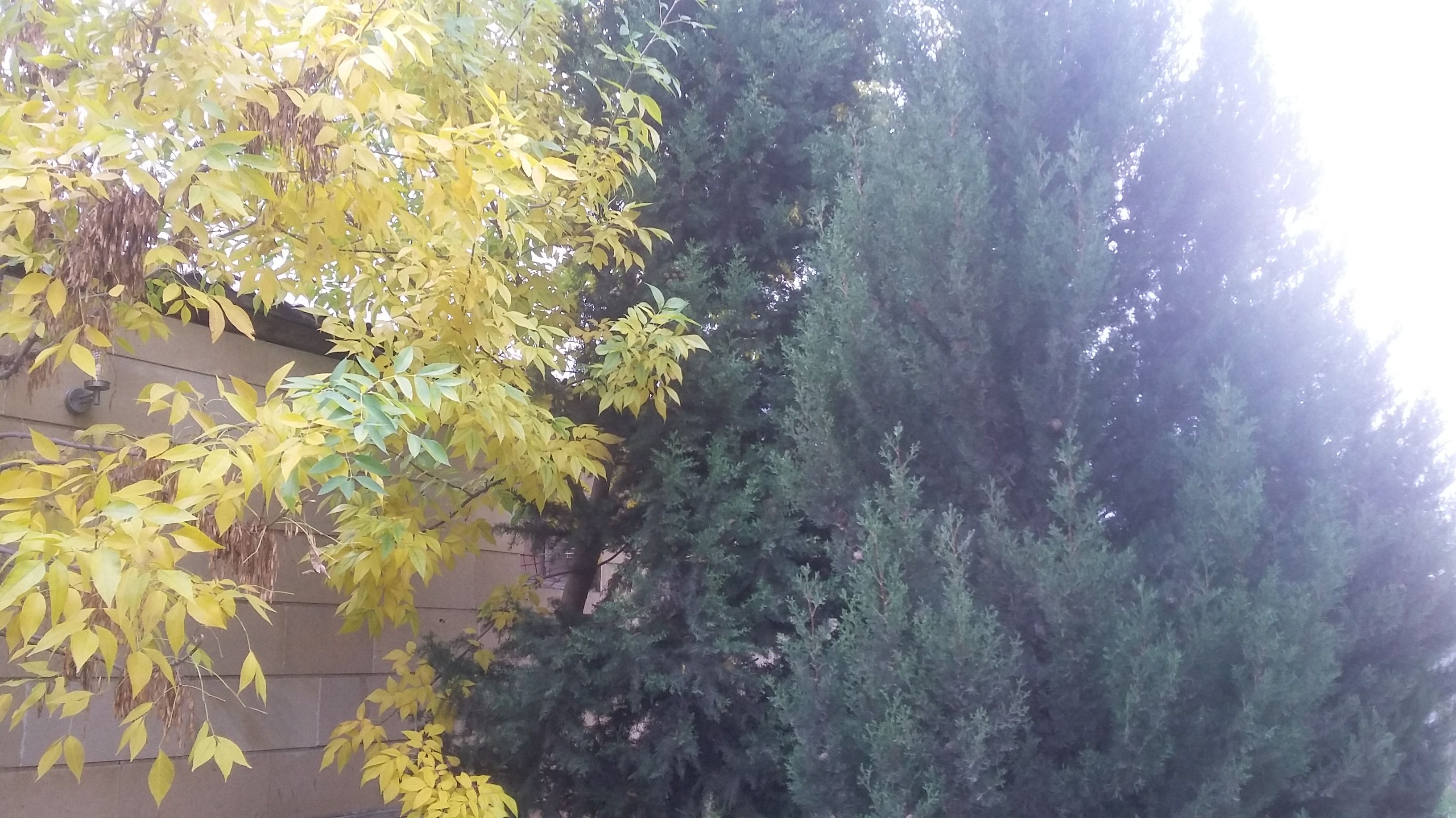 20171024_165040.jpg