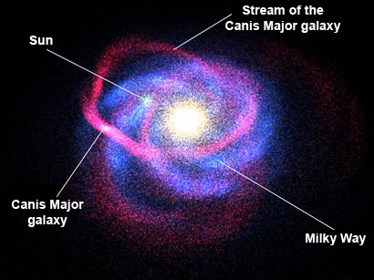 canismajordwarf1.jpg