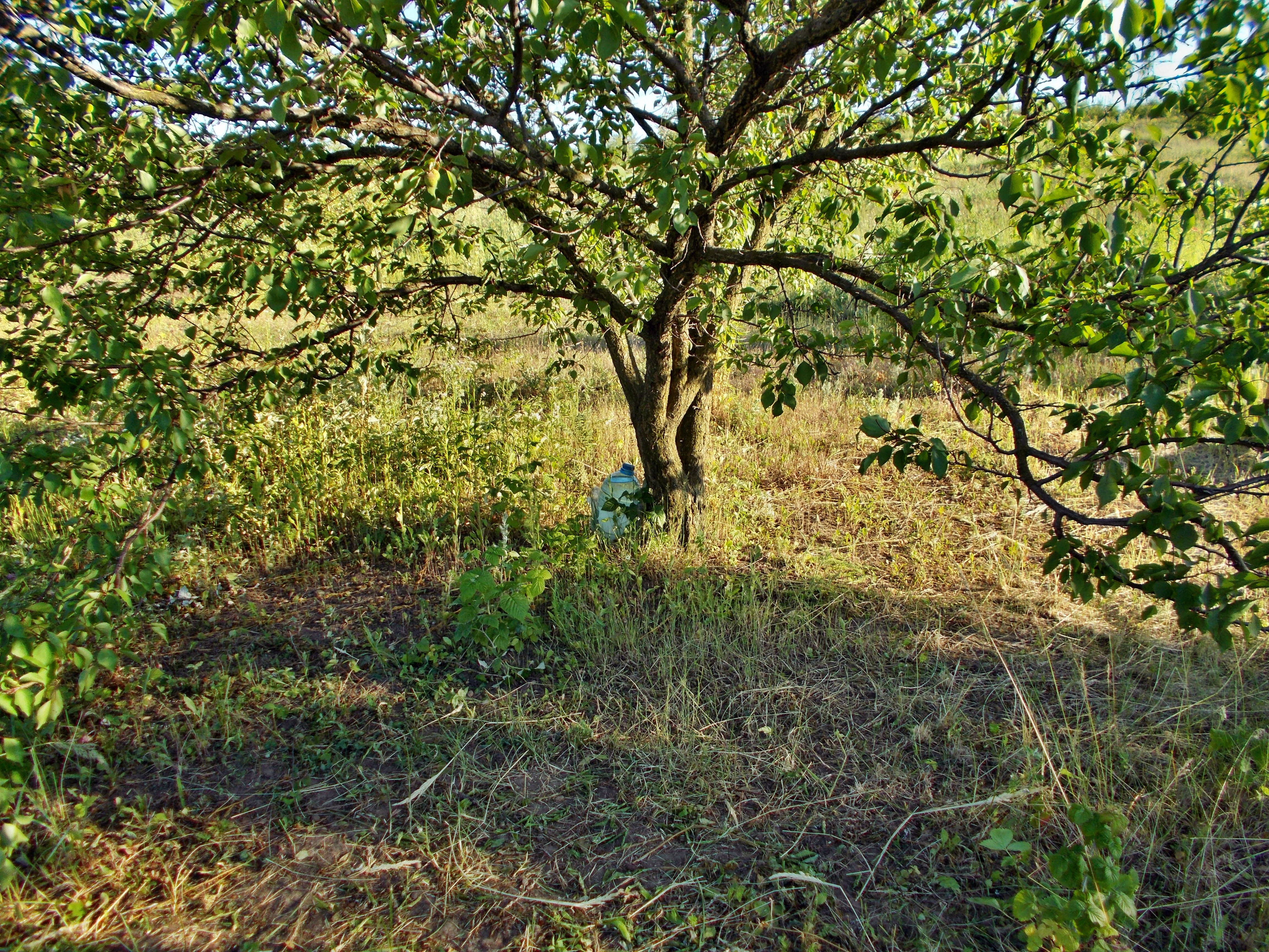 DSCN0942.JPG