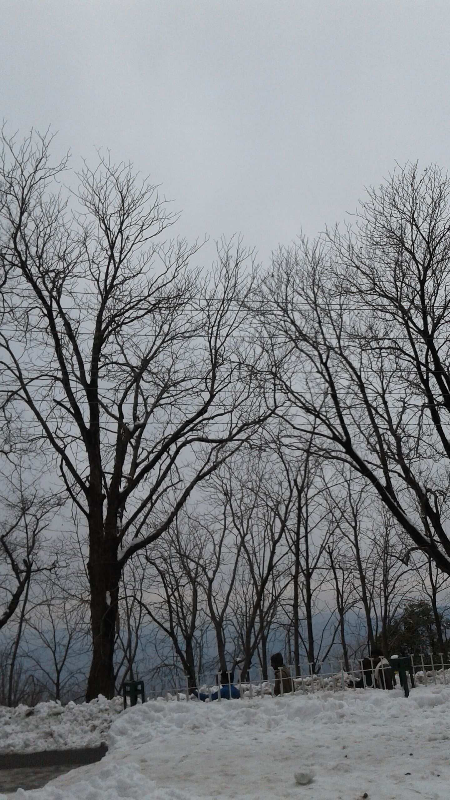 20180214_155206.jpg