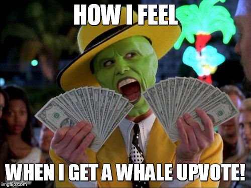 Whaleupvote.jpg