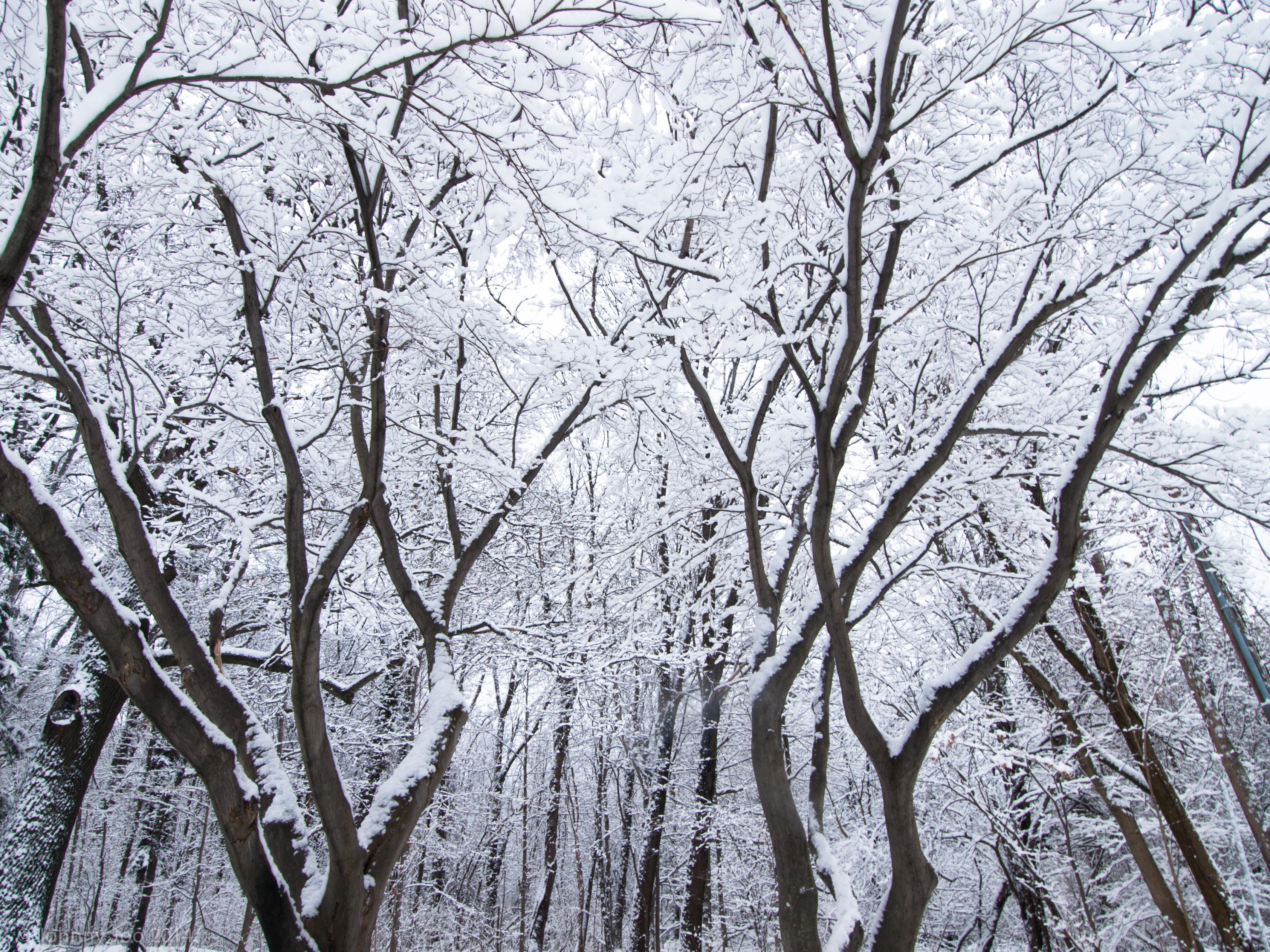 Bath and Covered in snow Final60.jpg